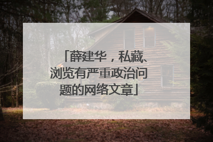 薛建华，私藏、浏览有严重政治问题的网络文章
