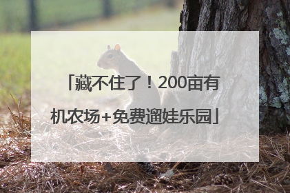藏不住了！200亩有机农场+免费遛娃乐园
