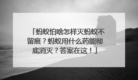 蚂蚁怕啥怎样灭蚂蚁不留痕？蚂蚁用什么药能彻底消灭？答案在这！