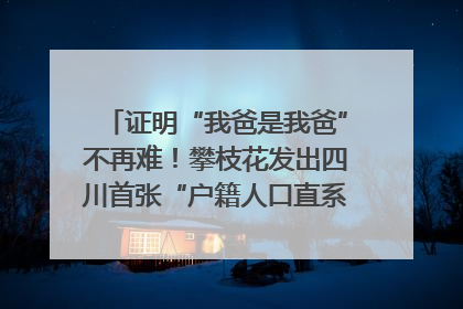 证明“我爸是我爸”不再难！攀枝花发出四川首张“户籍人口直系亲属关系谱”