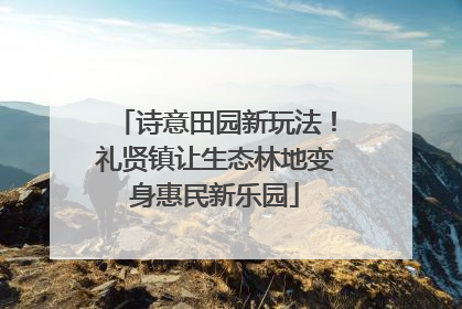 诗意田园新玩法！礼贤镇让生态林地变身惠民新乐园