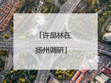 许昆林在扬州调研