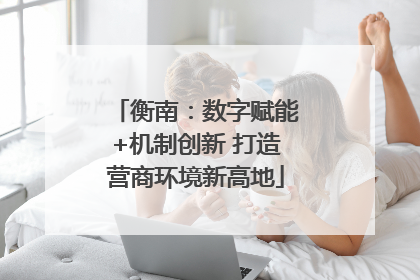 衡南：数字赋能+机制创新 打造营商环境新高地