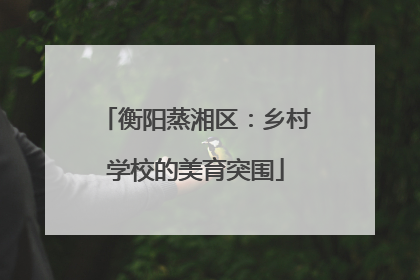 衡阳蒸湘区：乡村学校的美育突围