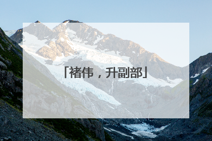 褚伟，升副部