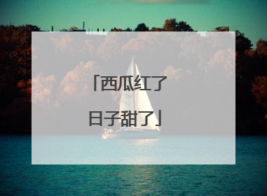 西瓜红了 日子甜了