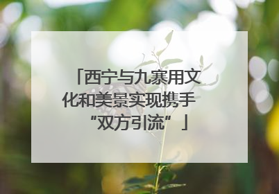 西宁与九寨用文化和美景实现携手“双方引流”