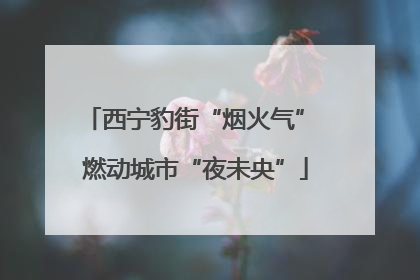 西宁豹街“烟火气” 燃动城市“夜未央”