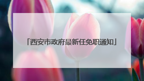 西安市政府最新任免职通知
