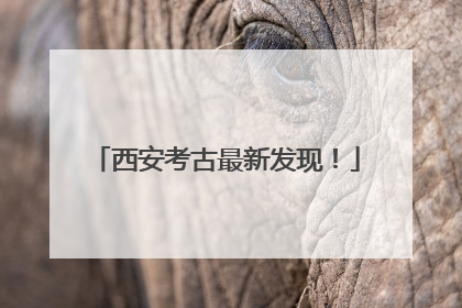 西安考古最新发现！