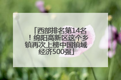 西部排名第14名！绵阳高新区这个乡镇再次上榜中国镇域经济500强
