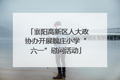 襄阳高新区人大政协办开展魏庄小学“六一”慰问活动