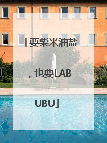 要柴米油盐，也要LABUBU