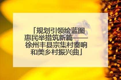 规划引领绘蓝图 惠民举措筑新篇——徐州丰县宗集村奏响和美乡村振兴曲