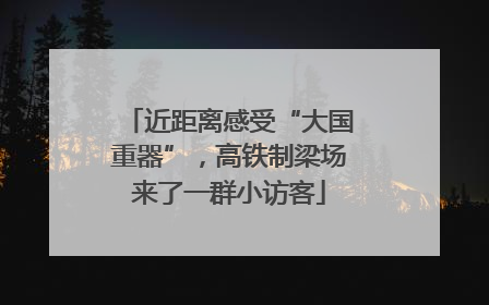 近距离感受“大国重器”，高铁制梁场来了一群小访客