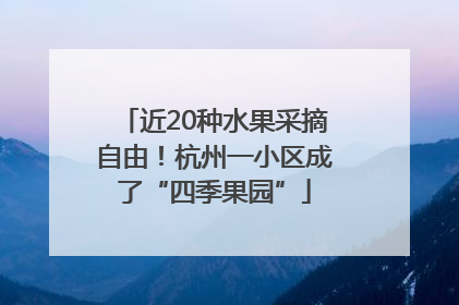 近20种水果采摘自由！杭州一小区成了“四季果园”