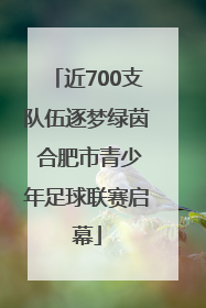 近700支队伍逐梦绿茵 合肥市青少年足球联赛启幕