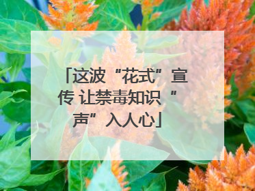 这波“花式”宣传 让禁毒知识“声”入人心