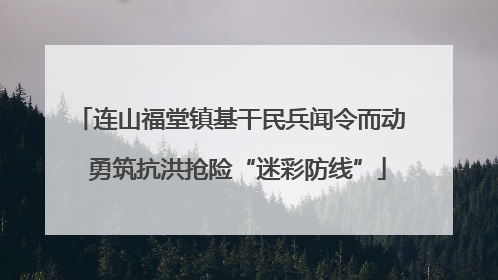 连山福堂镇基干民兵闻令而动  勇筑抗洪抢险“迷彩防线”