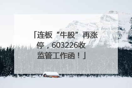 连板“牛股”再涨停，603226收监管工作函！