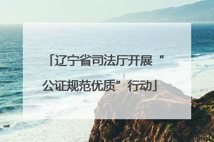 辽宁省司法厅开展“公证规范优质”行动