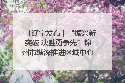 辽宁发布｜“振兴新突破 决胜勇争先”锦州市纵深推进区域中心城市建设 打造高质量发展新增长极