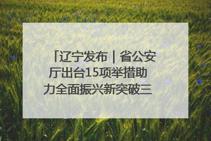 辽宁发布｜省公安厅出台15项举措助力全面振兴新突破三年行动决胜之战