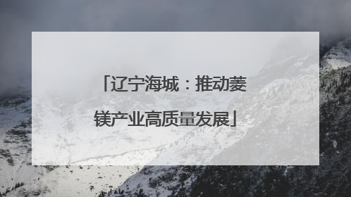 辽宁海城：推动菱镁产业高质量发展