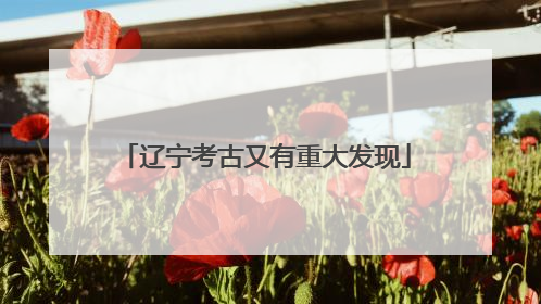 辽宁考古又有重大发现