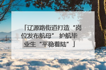 辽源路街道打造“岗位发布航母” 护航毕业生“平稳着陆”