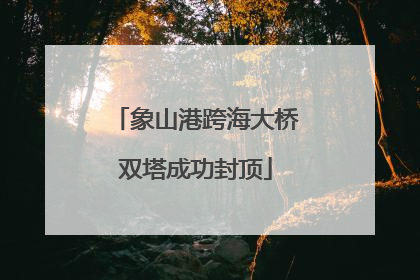 象山港跨海大桥双塔成功封顶