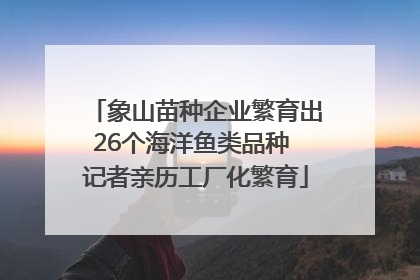 象山苗种企业繁育出26个海洋鱼类品种 记者亲历工厂化繁育