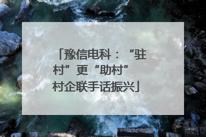豫信电科：“驻村”更“助村” 村企联手话振兴