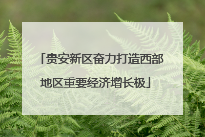 贵安新区奋力打造西部地区重要经济增长极