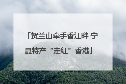 贺兰山牵手香江畔 宁夏特产“走红”香港