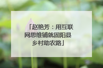 赵艳芳：用互联网思维铺就固阳县乡村助农路
