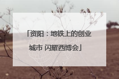 资阳：地铁上的创业城市 闪耀西博会