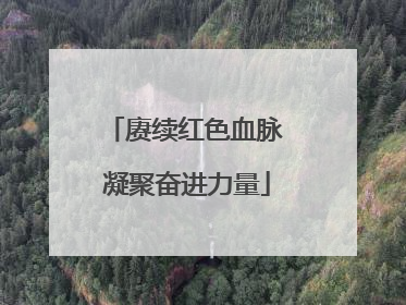 赓续红色血脉 凝聚奋进力量
