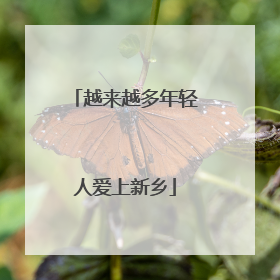 越来越多年轻人爱上新乡