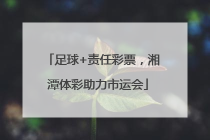 足球+责任彩票，湘潭体彩助力市运会