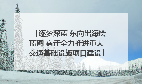 逐梦深蓝 东向出海绘蓝图 宿迁全力推进重大交通基础设施项目建设