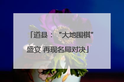 道县：“大地围棋”盛宴 再现名局对决