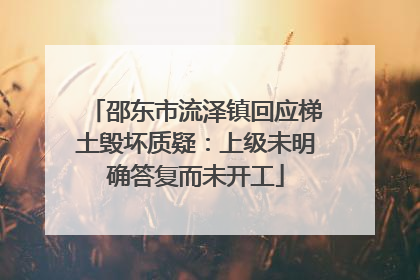 邵东市流泽镇回应梯土毁坏质疑：上级未明确答复而未开工
