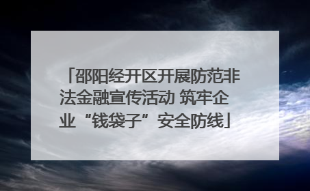邵阳经开区开展防范非法金融宣传活动 筑牢企业“钱袋子”安全防线