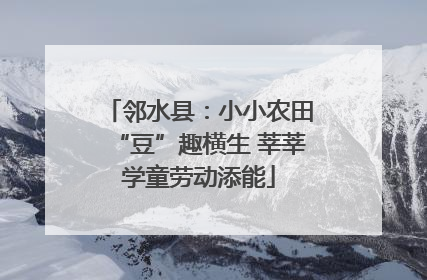 邻水县：小小农田“豆”趣横生 莘莘学童劳动添能