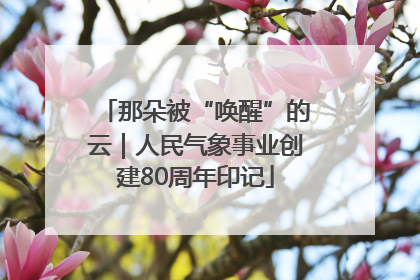那朵被“唤醒”的云｜人民气象事业创建80周年印记
