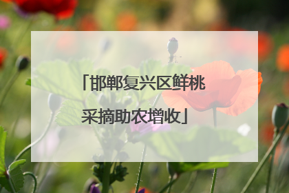 邯郸复兴区鲜桃采摘助农增收