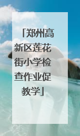 郑州高新区莲花街小学检查作业促教学