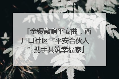 金锣敲响平安曲，西厂口社区“平安合伙人”携手共筑幸福家