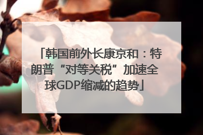 韩国前外长康京和：特朗普“对等关税”加速全球GDP缩减的趋势